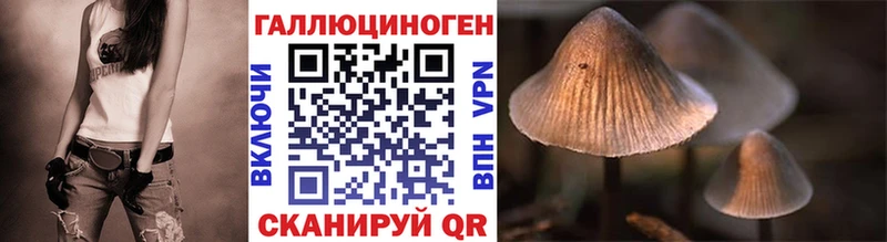 Псилоцибиновые грибы Psilocybe  Тарко-Сале 
