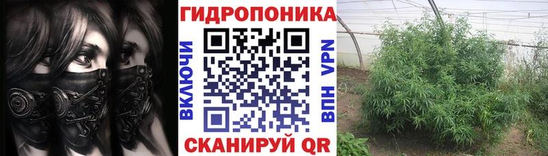 Бошки марихуана Bruce Banner  Тарко-Сале 